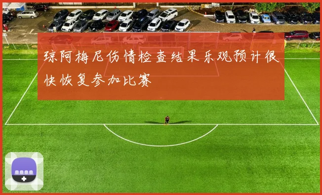 琼阿梅尼伤情检查结果乐观预计很快恢复参加比赛