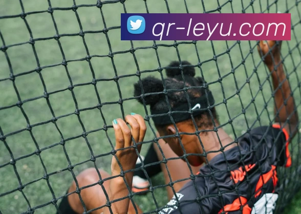 乐鱼体育品牌故事