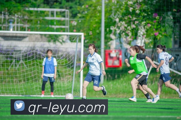 多媒体互动体验